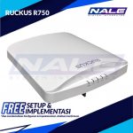 Ruckus R750 Indoor Access Point (901-R750-WW00)