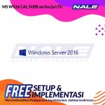 MS WS16 CAL 5USR en/ko/ja LTU (871177-371)