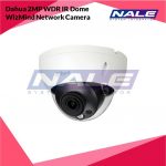 Dahua 2MP WDR IR Dome WizMind Network Camera (DH-IPC-HDBW5241RP-ASE)