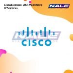 Cisco Licenses   ASR 903 Metro IP Services