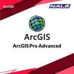 ArcGis Pro Advanced