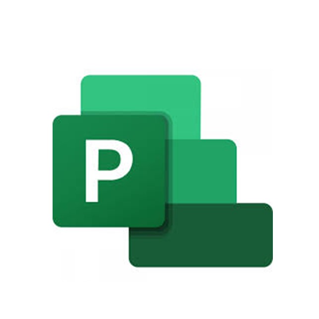 Microsoft Project Plan 1 / Years