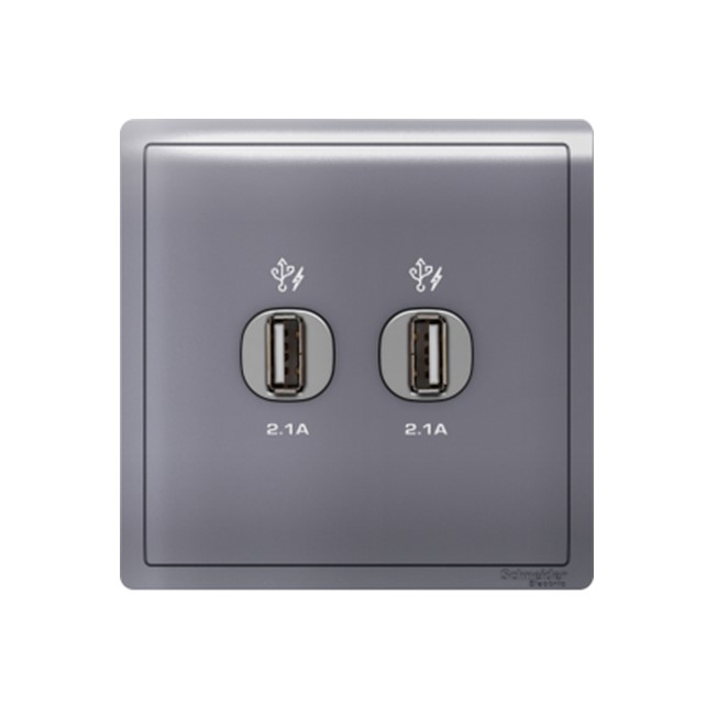 Outlet Data Schneider Pieno 2 X 2.1A USB Charger Lavender Silver