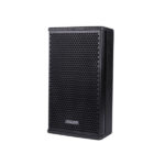 DSPPA 10 Inch 250W Professional Two Way Cabinet speaker (D6564 )